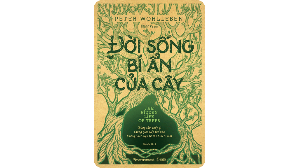 Đời Sống Bí Ẩn Của Cây